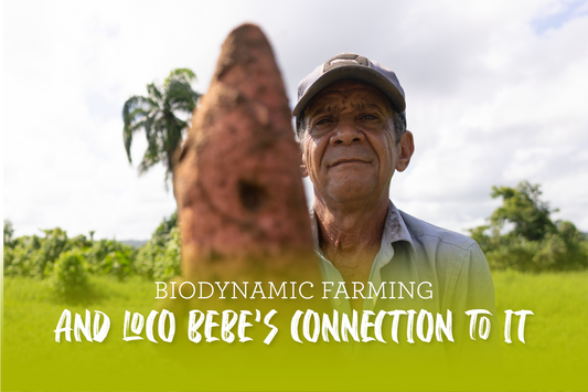 BioDynamic Farming and Loco Bebe's connection to it.
