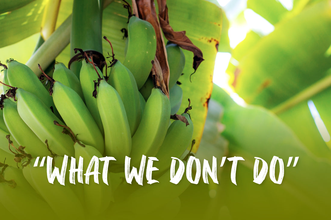 What we don’t do
