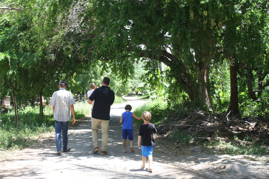 Heavy Metals in Baby Food: What Parents Need to Know and How Loco Bebé Keeps Your Baby Safe