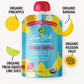 Loco Bebé Organic Baby Food 12-Pack – A Taste of the Caribbean in Every Pouch