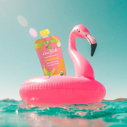 Banana_Mango_Baby Food Pouch with a Flamingo